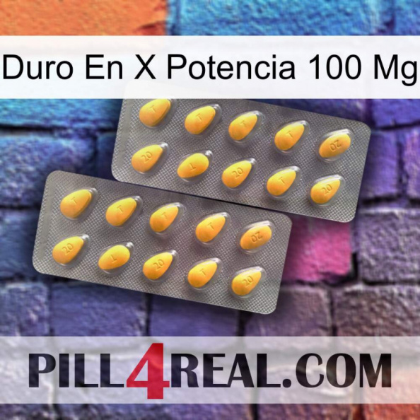 Hard On X Power 100 Mg cialis2.jpg